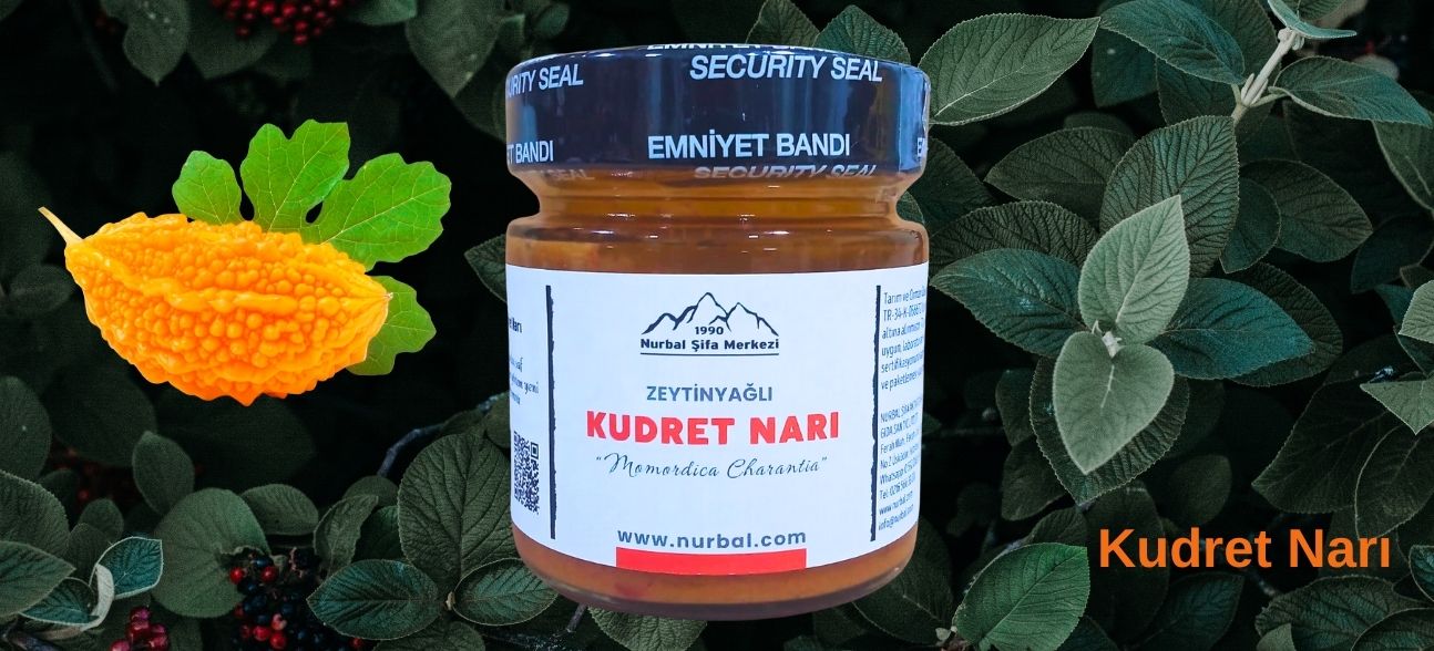 kudret