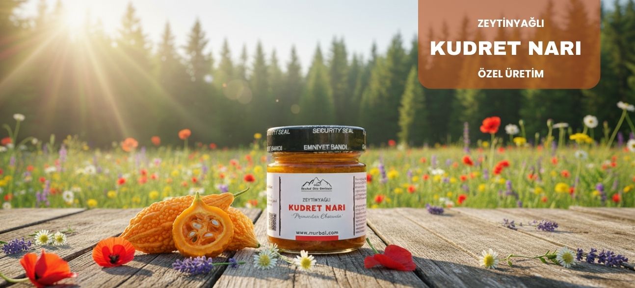 kudret