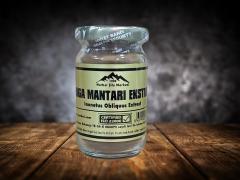 Chaga Mantar Ekstrak 50 gr