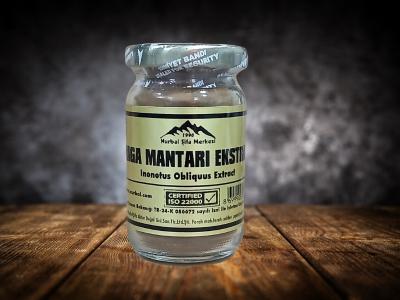 Chaga Mantar Ekstrak 50 gr