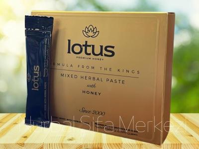 Lotus Erkek Macunu 12 adet