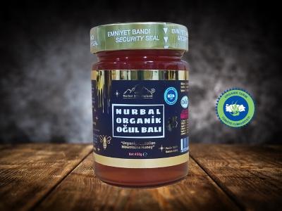 Organik Oğul Balı 450 gr