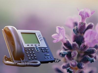 Telefonla Sipariş HB
