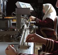 Safran İran 10 gr